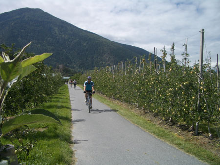 Jablenmi sady po cyklostezce podl Adige