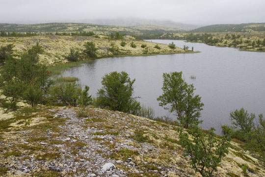 Krajina v NP Rondane